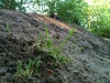 20120600_pumptrack-bau_24