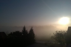 Vereinsmeisterschaft 2014