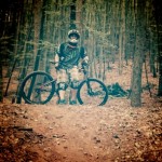 Profilbild von Oimel