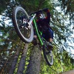 Profilbild von Istvan Salamon